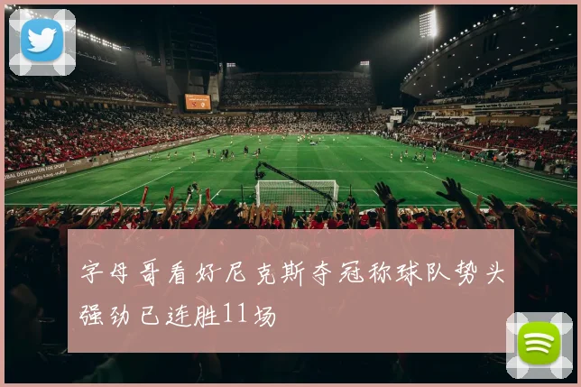 字母哥看好尼克斯夺冠称球队势头强劲已连胜11场